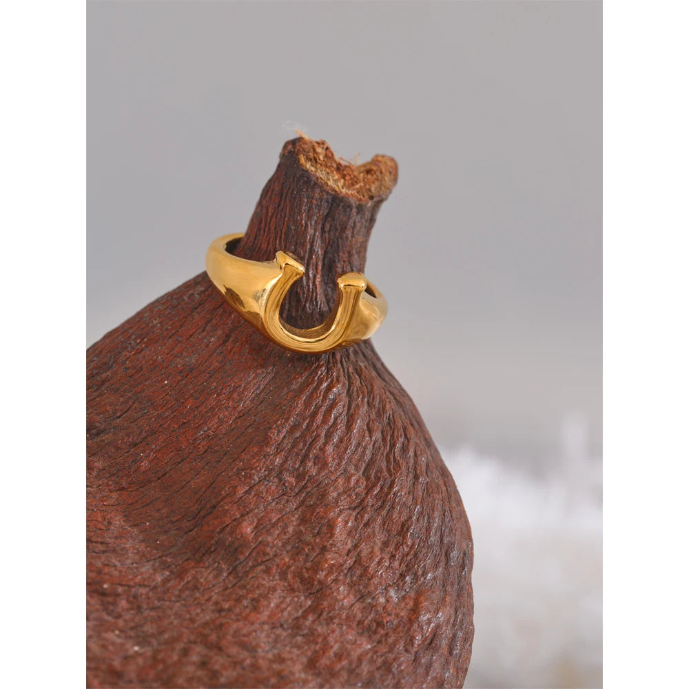 Odette Horseshoe Signet Ring, waterproof ring in 316L stainless steel with a gold PVD finish by Lark & Reed, view 4