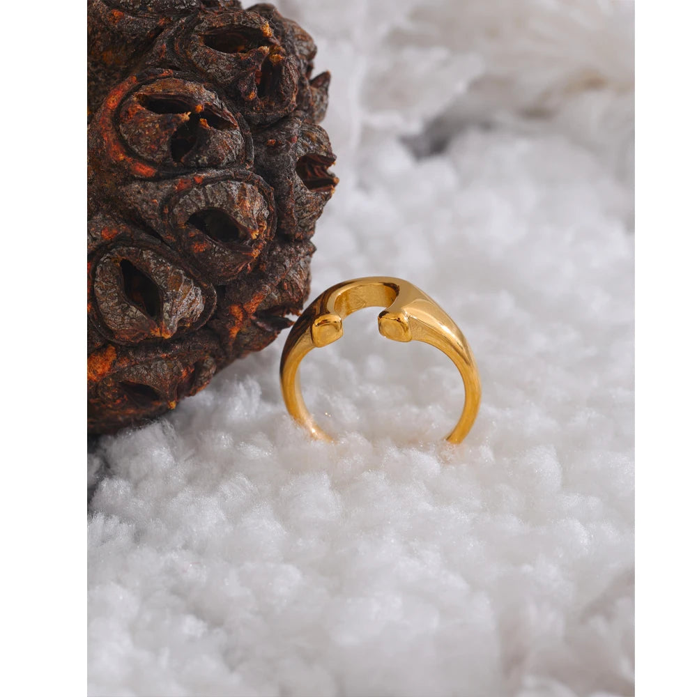 Odette Horseshoe Signet Ring, waterproof ring in 316L stainless steel with a gold PVD finish by Lark & Reed, view 6